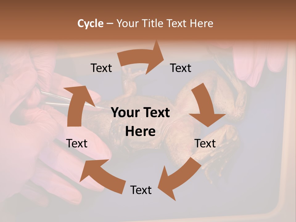 Creepy Swamp Squat PowerPoint Template