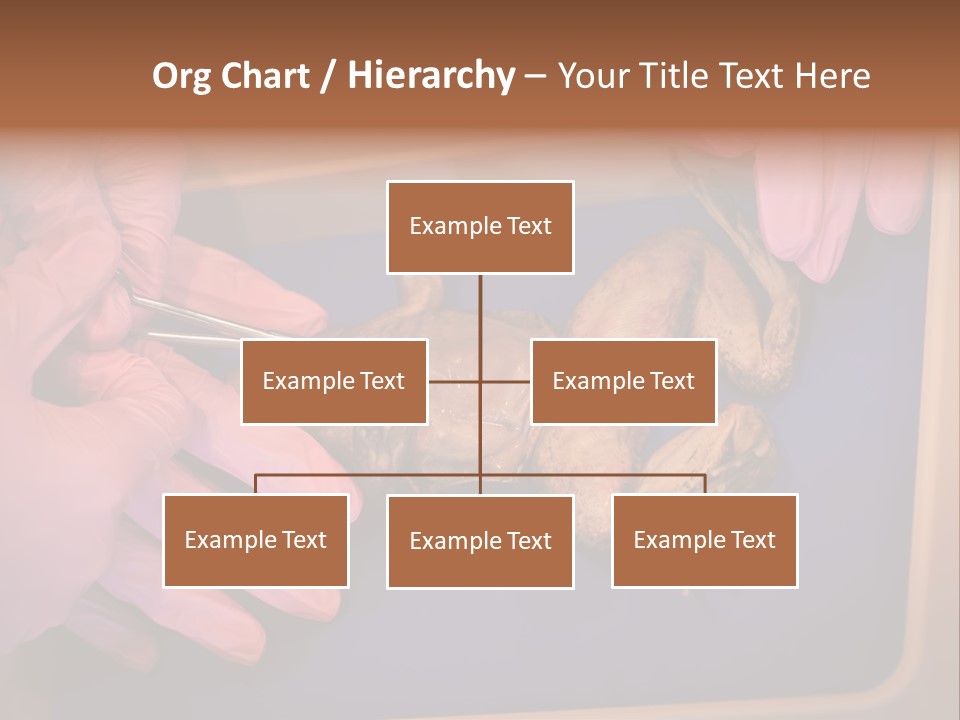 Creepy Swamp Squat PowerPoint Template