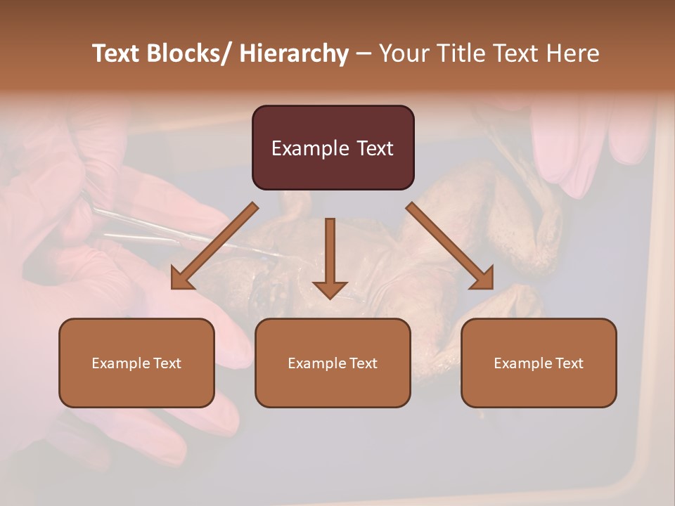 Creepy Swamp Squat PowerPoint Template