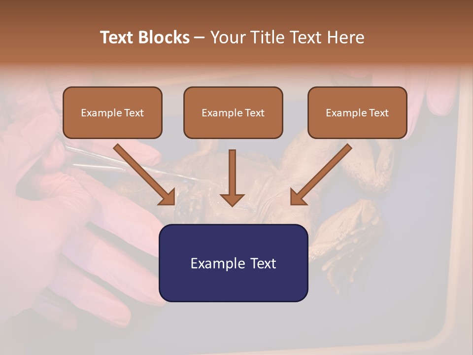 Creepy Swamp Squat PowerPoint Template