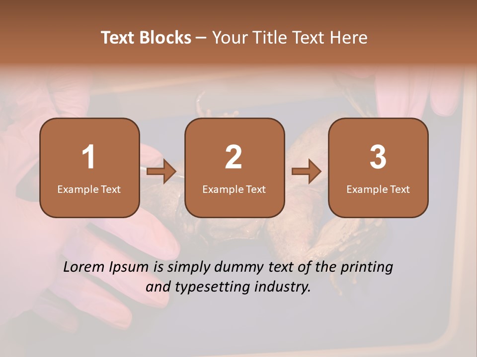 Creepy Swamp Squat PowerPoint Template