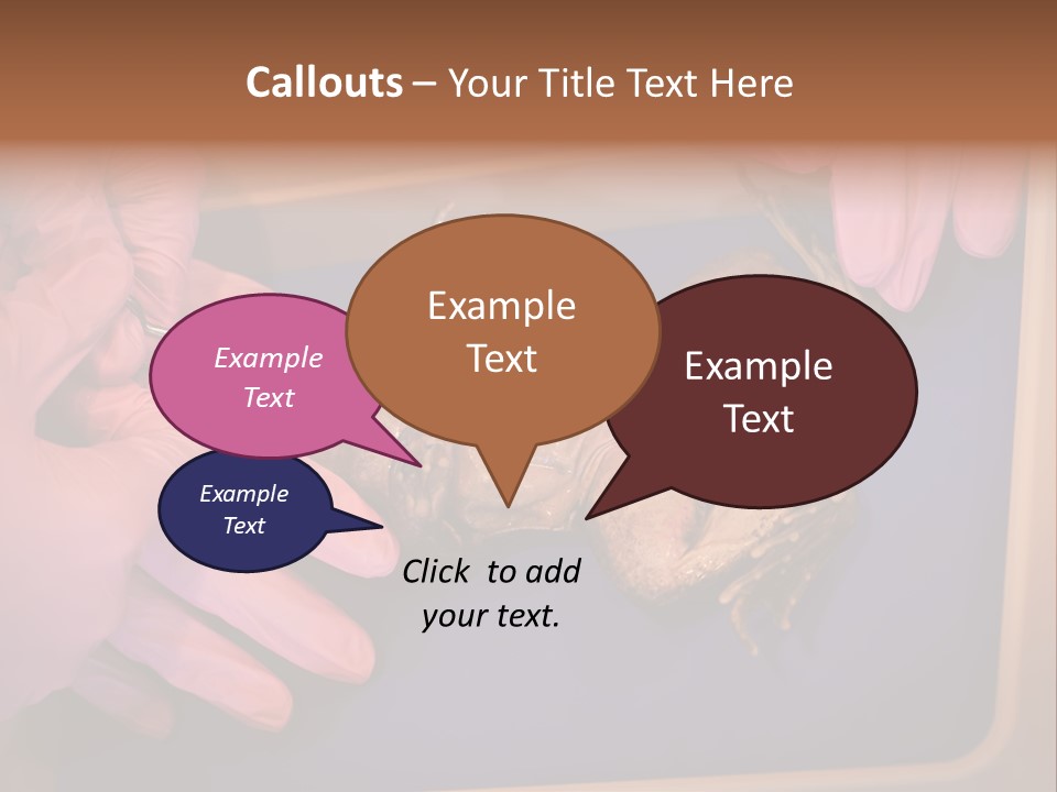 Creepy Swamp Squat PowerPoint Template