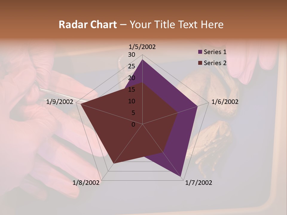 Creepy Swamp Squat PowerPoint Template