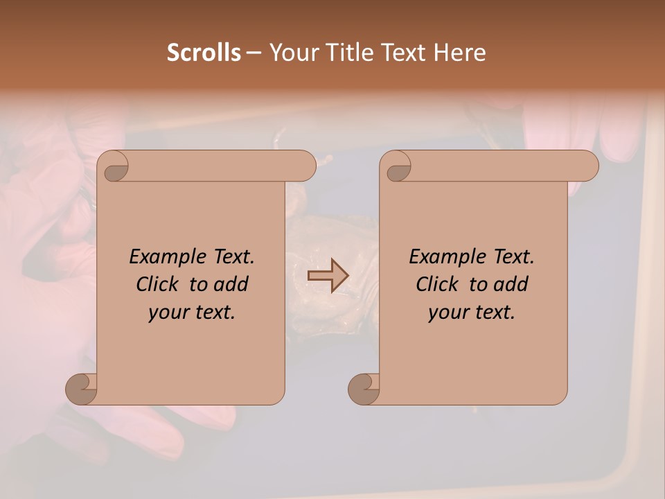 Creepy Swamp Squat PowerPoint Template