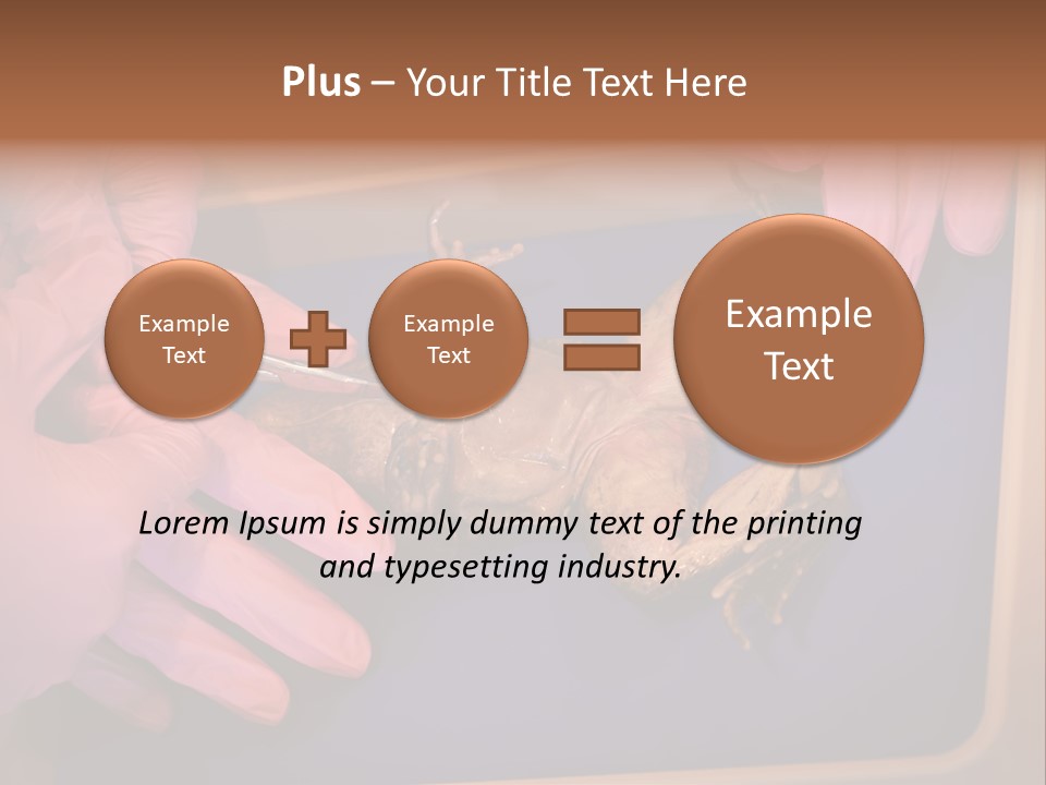 Creepy Swamp Squat PowerPoint Template