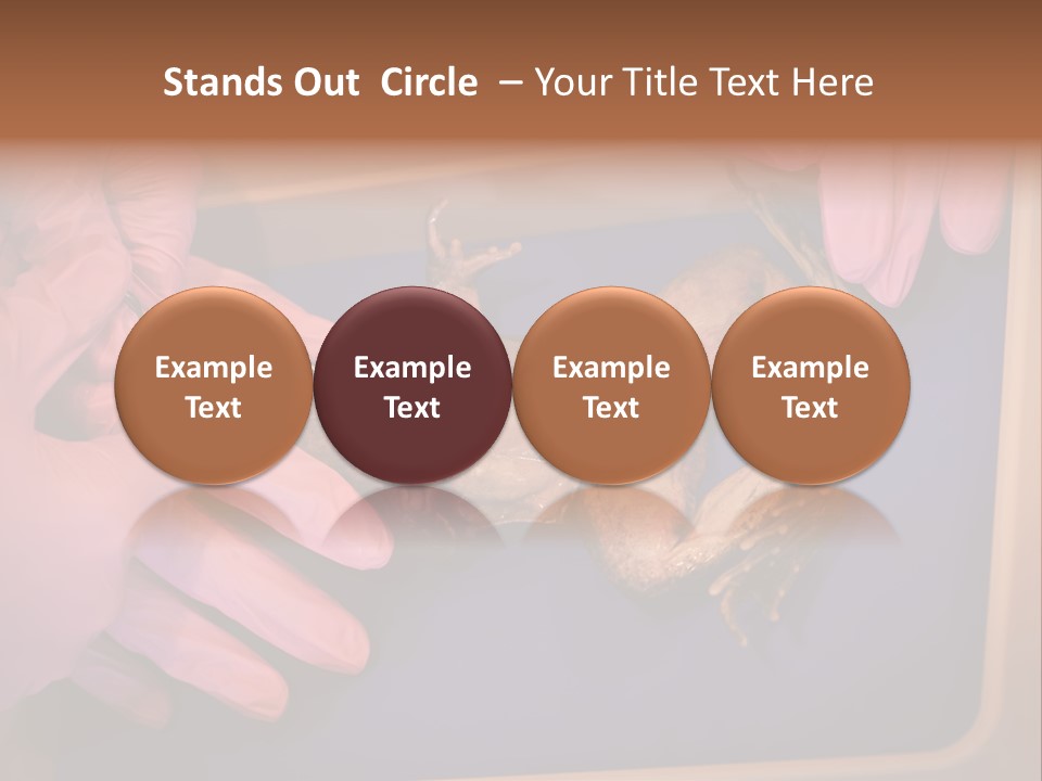 Creepy Swamp Squat PowerPoint Template