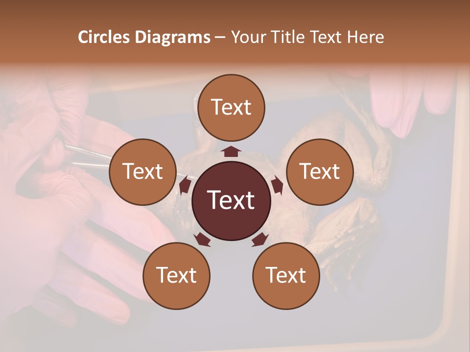 Creepy Swamp Squat PowerPoint Template