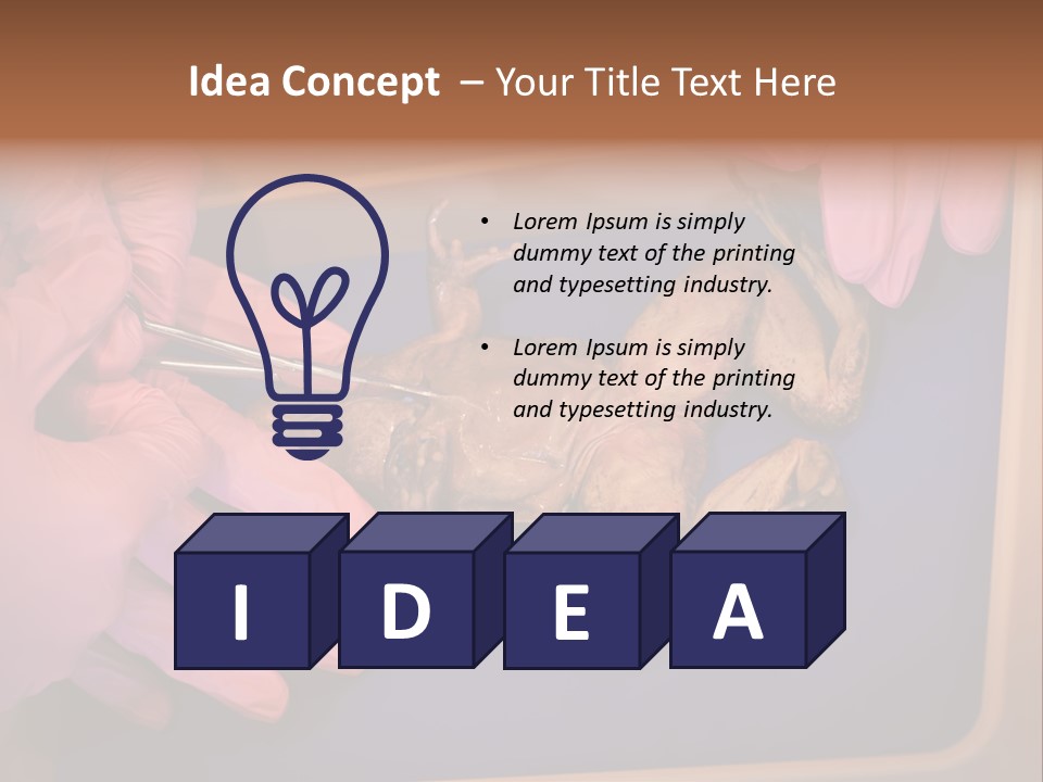 Creepy Swamp Squat PowerPoint Template