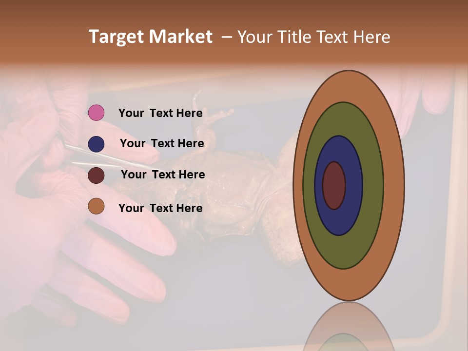 Creepy Swamp Squat PowerPoint Template