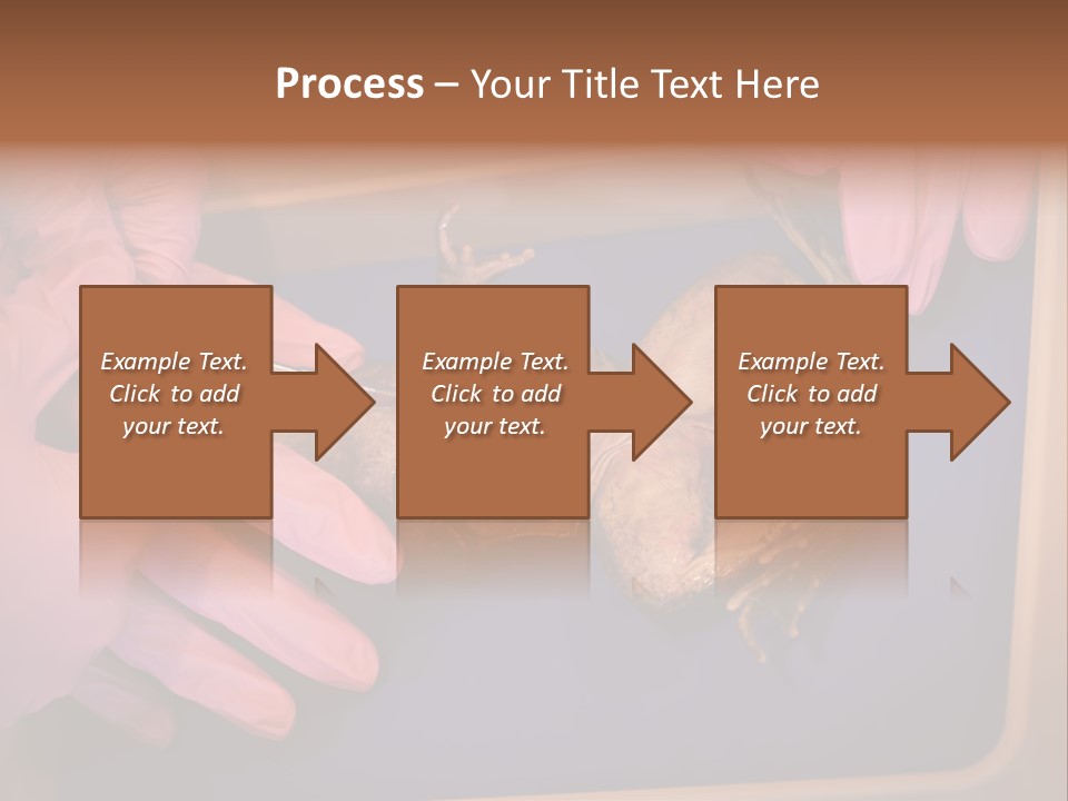 Creepy Swamp Squat PowerPoint Template