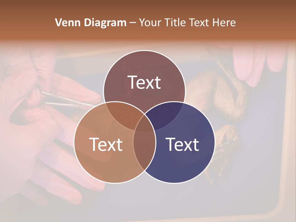 Creepy Swamp Squat PowerPoint Template