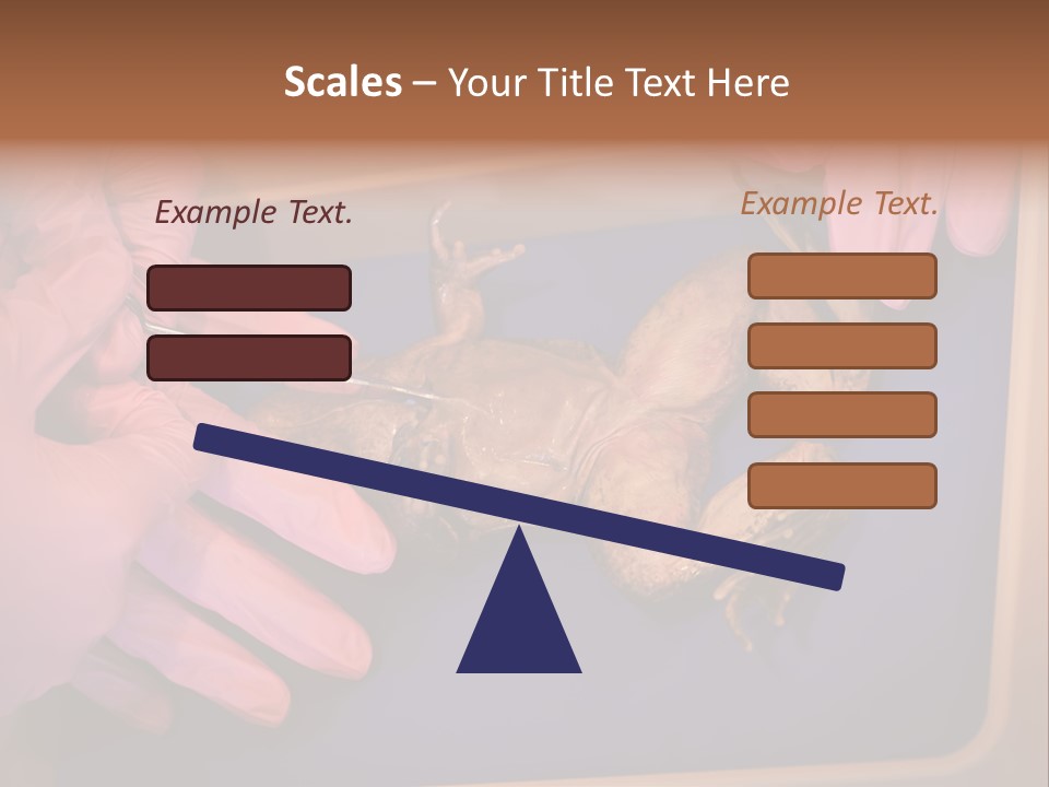 Creepy Swamp Squat PowerPoint Template