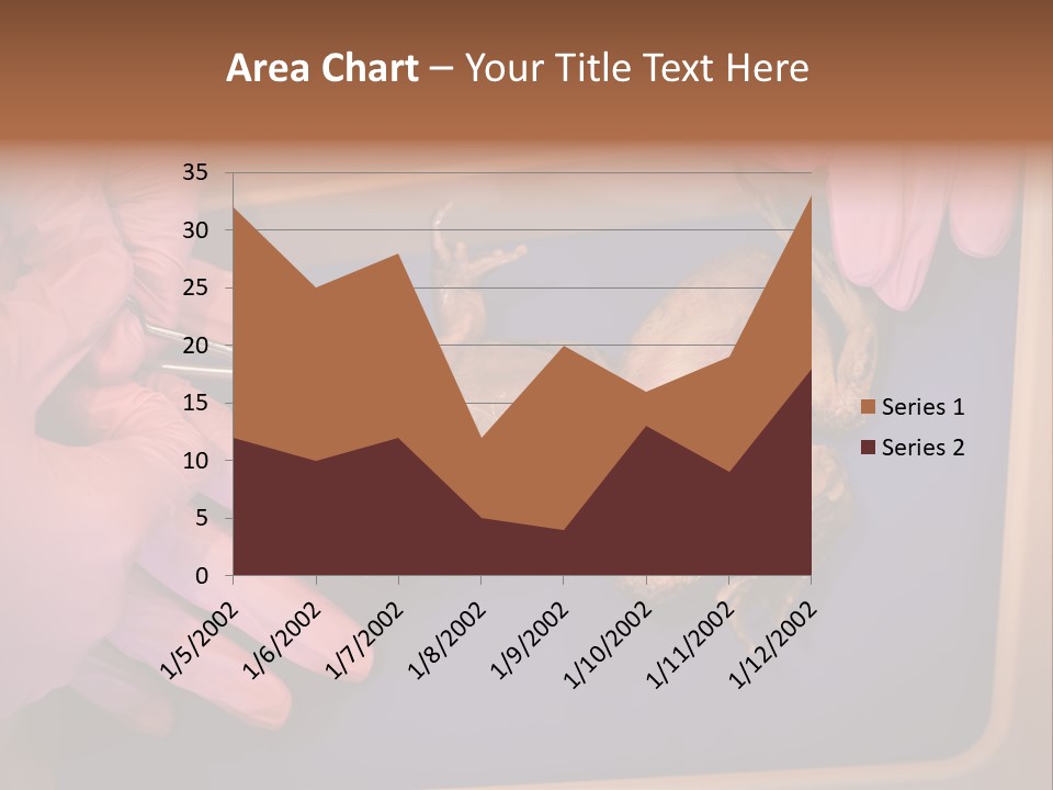 Creepy Swamp Squat PowerPoint Template