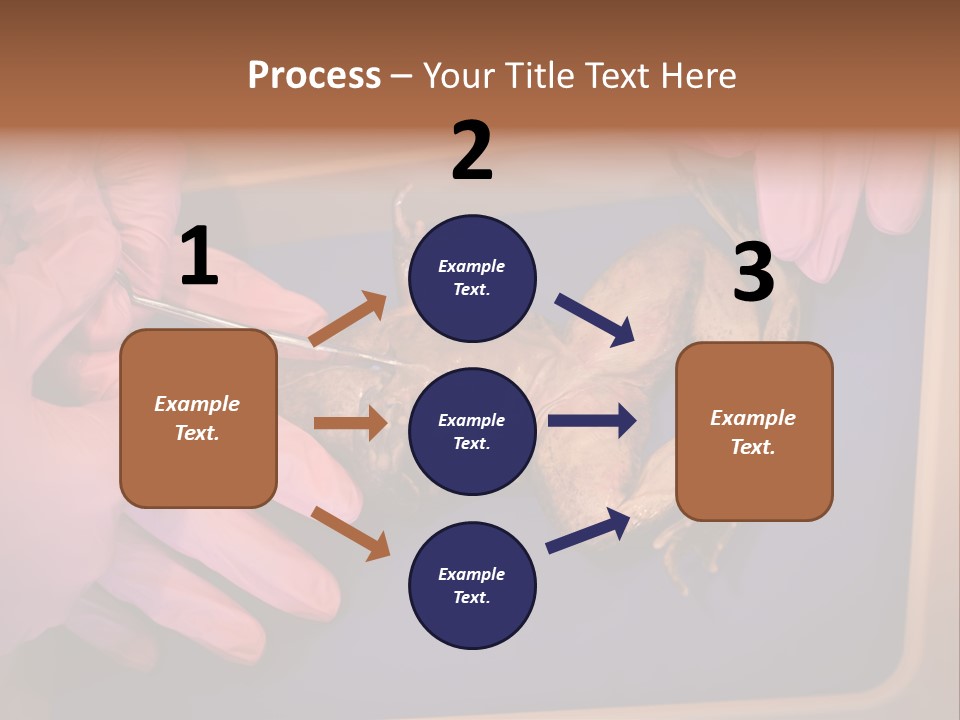 Creepy Swamp Squat PowerPoint Template