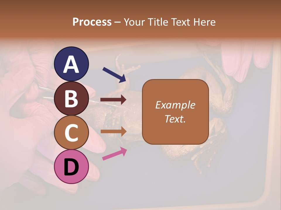 Creepy Swamp Squat PowerPoint Template