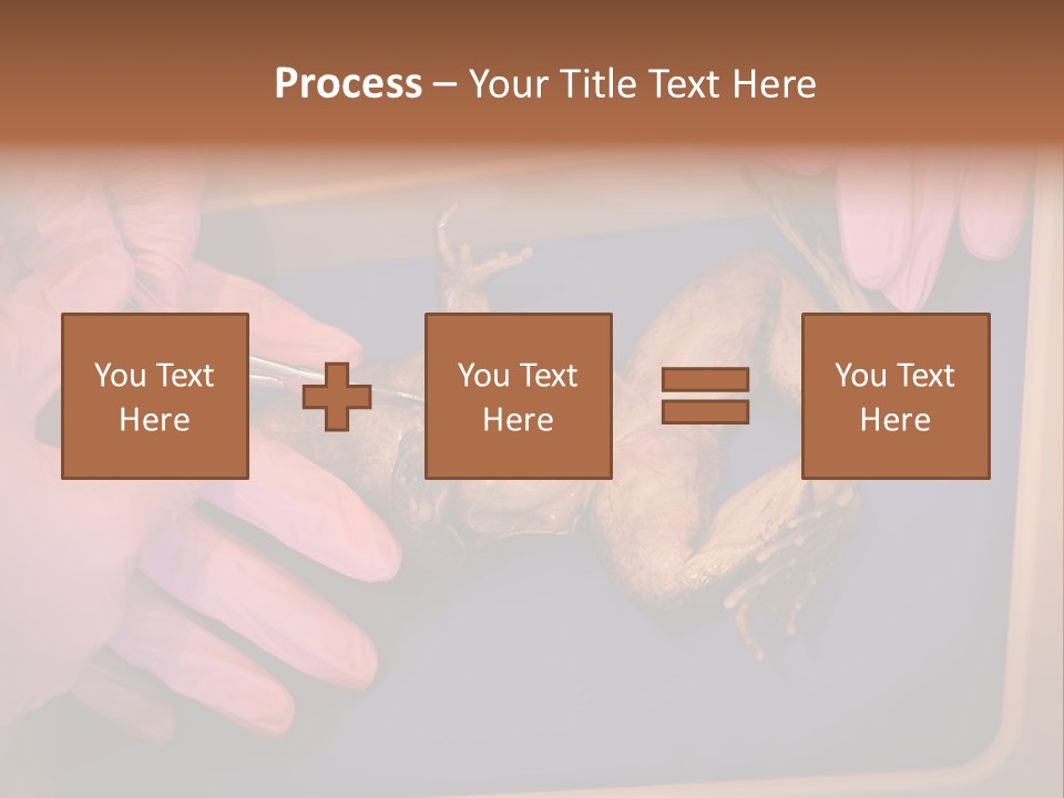 Creepy Swamp Squat PowerPoint Template