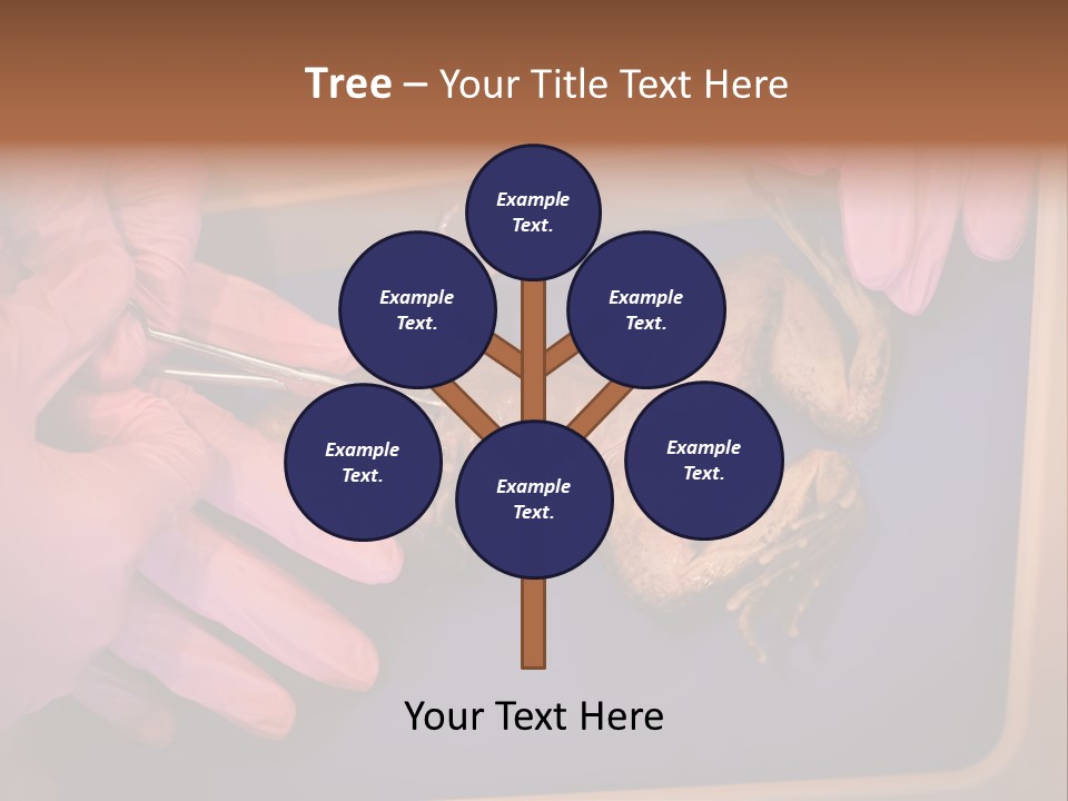 Creepy Swamp Squat PowerPoint Template
