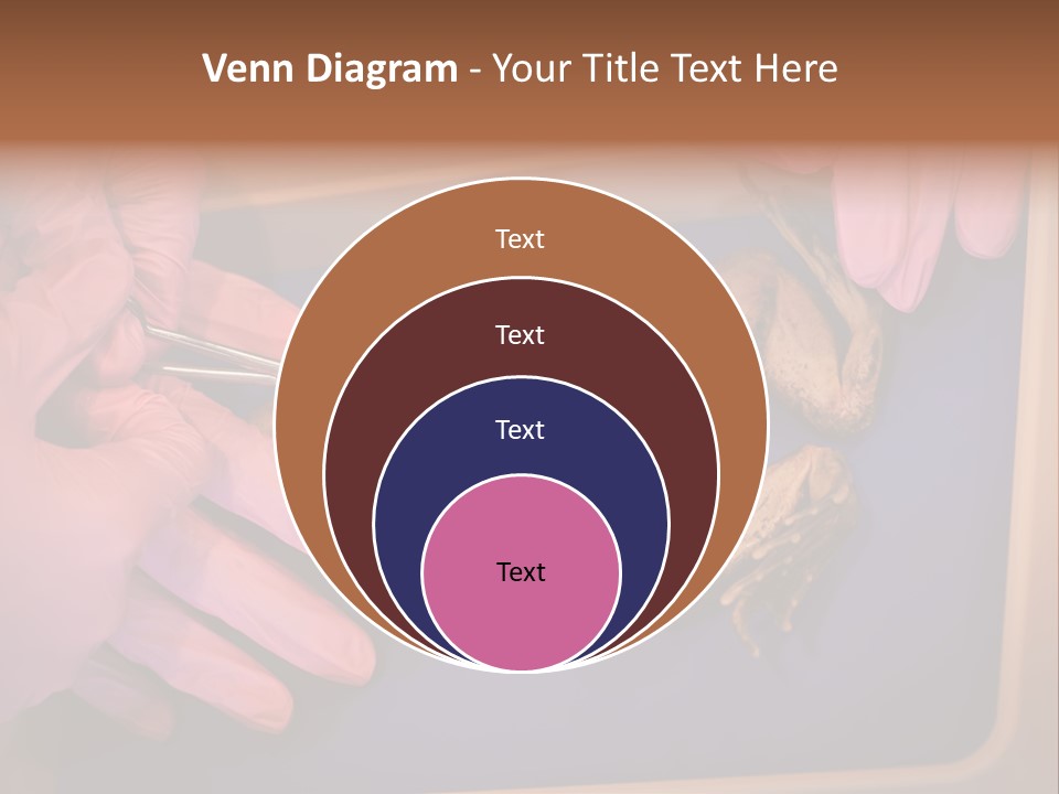 Creepy Swamp Squat PowerPoint Template