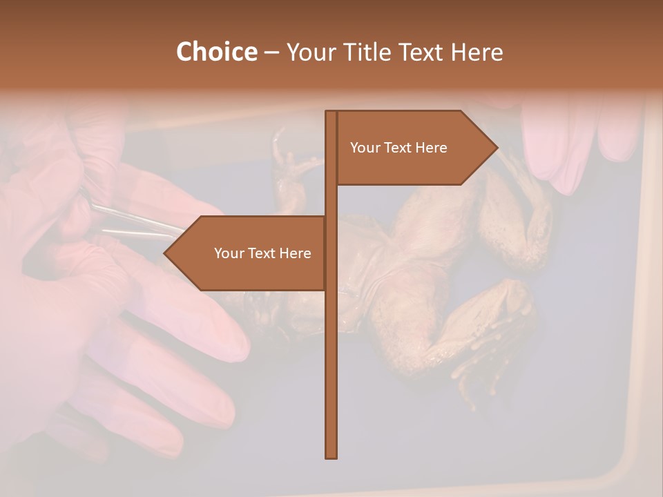 Creepy Swamp Squat PowerPoint Template