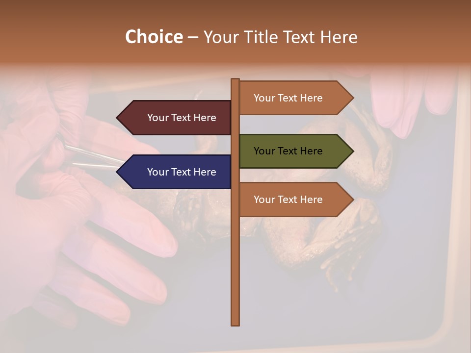 Creepy Swamp Squat PowerPoint Template