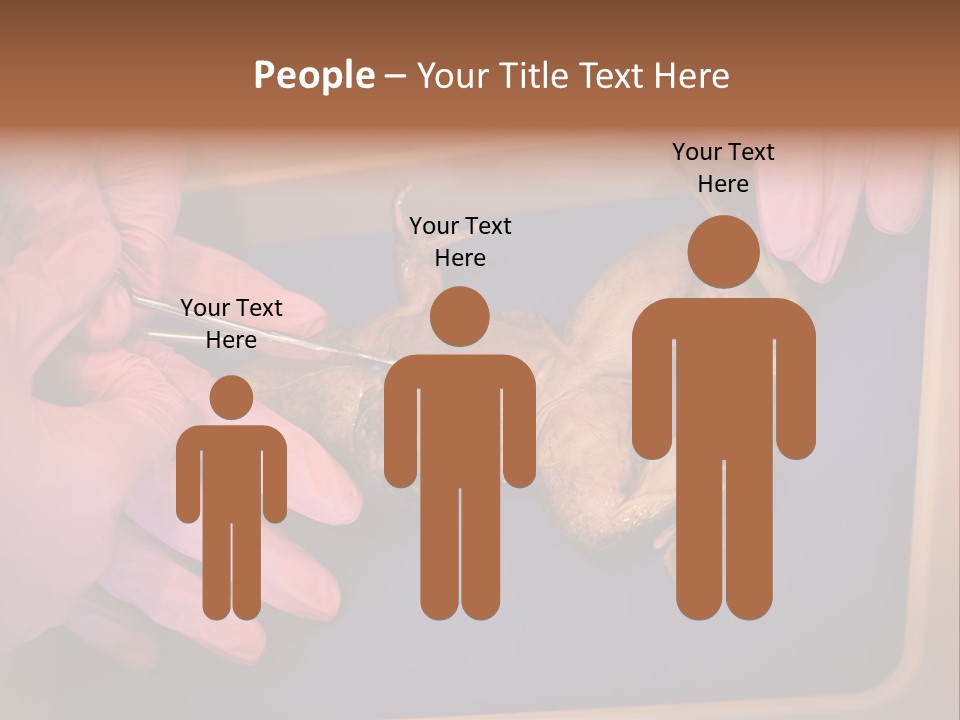 Creepy Swamp Squat PowerPoint Template