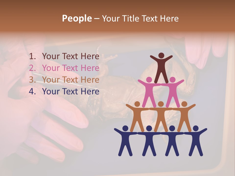 Creepy Swamp Squat PowerPoint Template