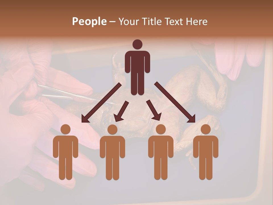 Creepy Swamp Squat PowerPoint Template