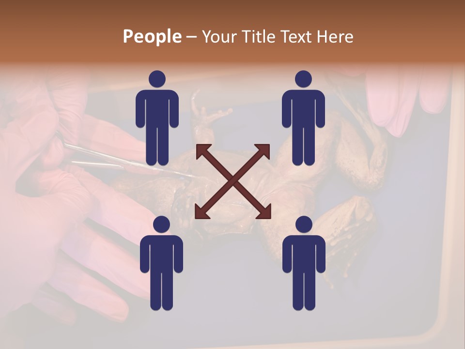 Creepy Swamp Squat PowerPoint Template