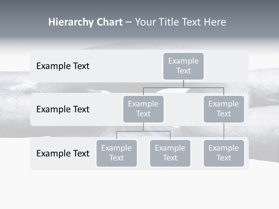 Ocean Studio Side PowerPoint Template