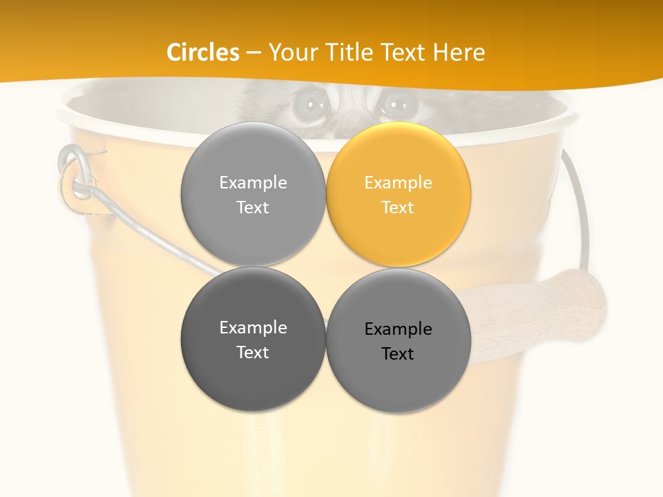 Lovable Cute Smirk PowerPoint Template