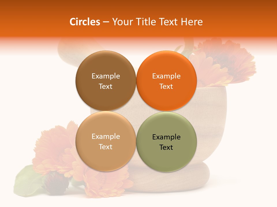 Pestle Hygiene Natural PowerPoint Template