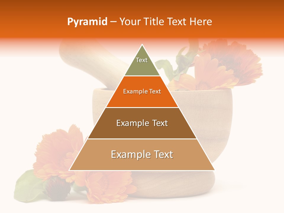 Pestle Hygiene Natural PowerPoint Template