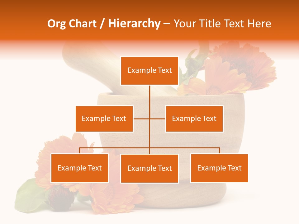 Pestle Hygiene Natural PowerPoint Template