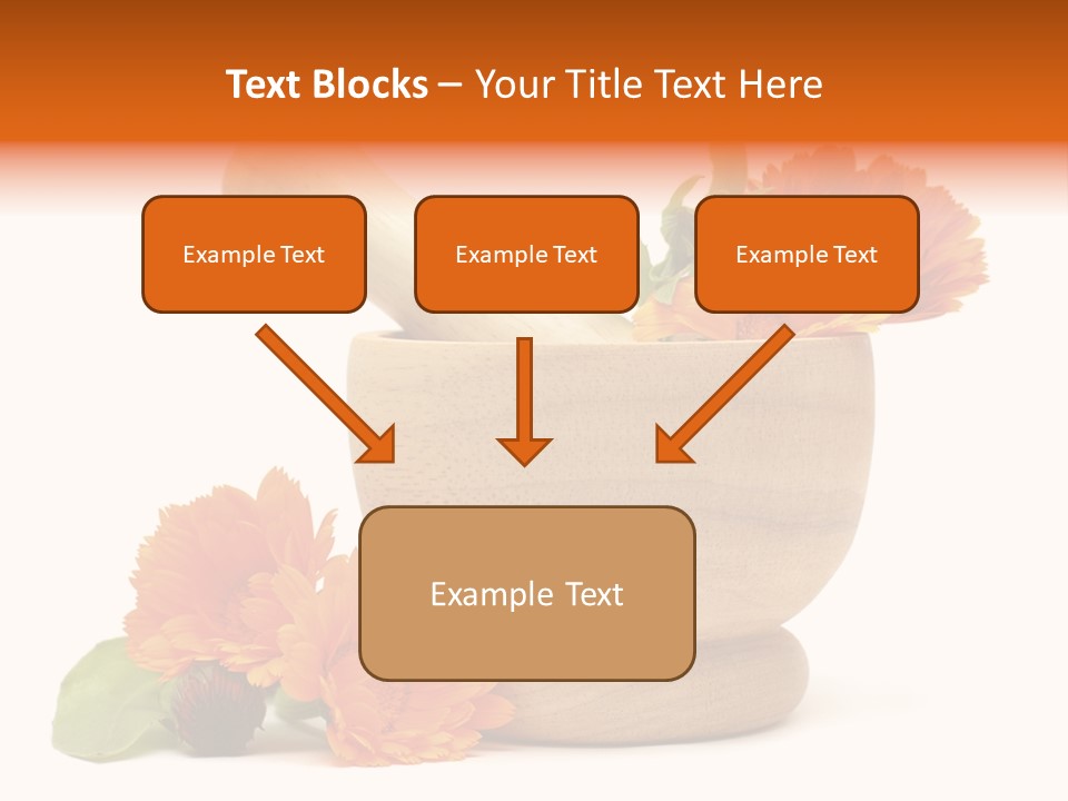 Pestle Hygiene Natural PowerPoint Template