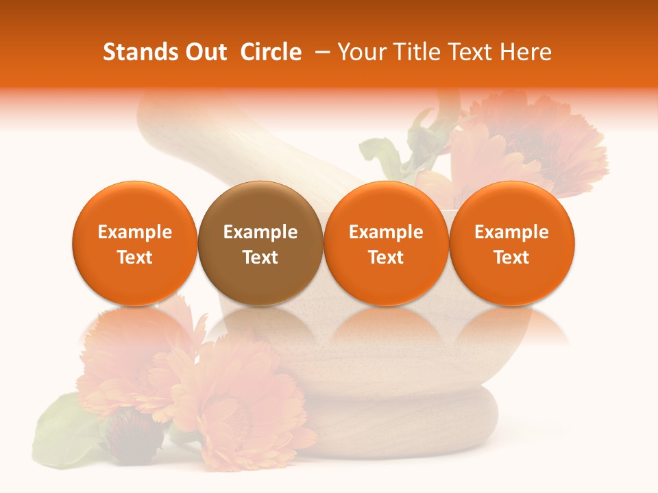 Pestle Hygiene Natural PowerPoint Template