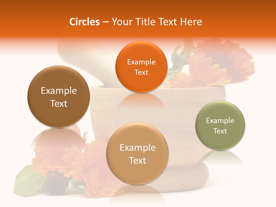 Pestle Hygiene Natural PowerPoint Template