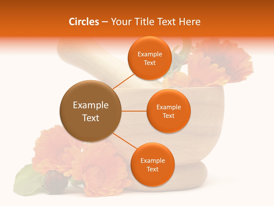 Pestle Hygiene Natural PowerPoint Template