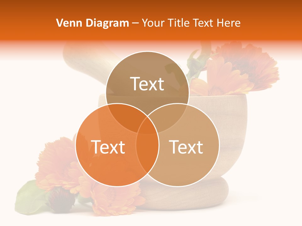 Pestle Hygiene Natural PowerPoint Template