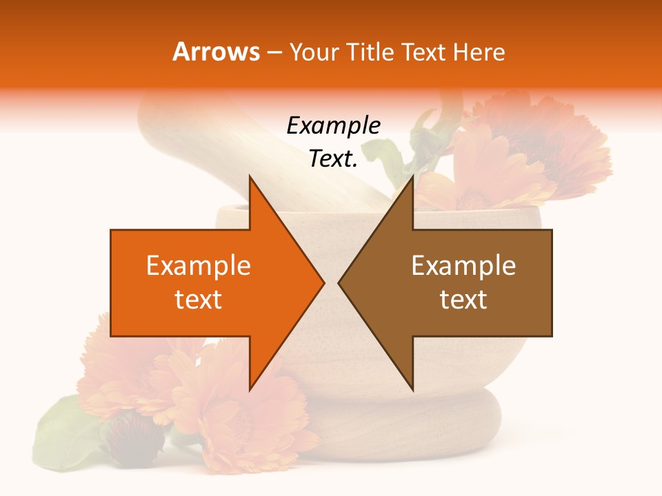 Pestle Hygiene Natural PowerPoint Template