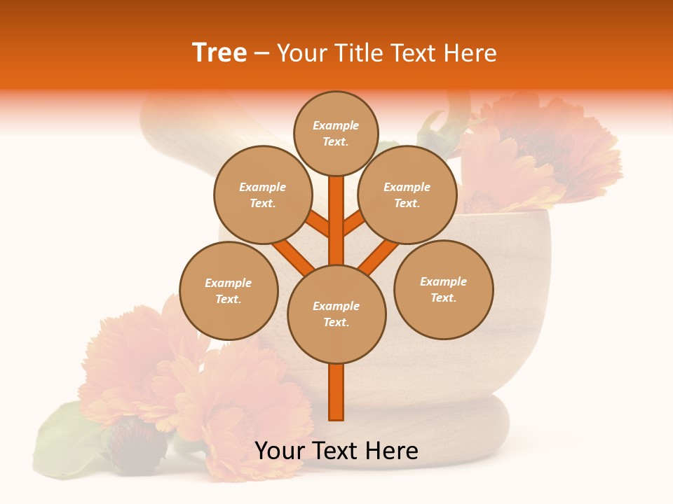 Pestle Hygiene Natural PowerPoint Template