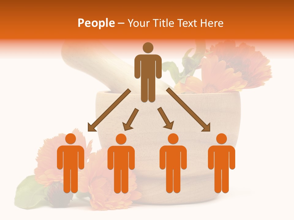 Pestle Hygiene Natural PowerPoint Template