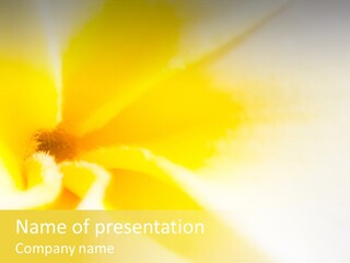 Blooming Tonga Golden PowerPoint Template