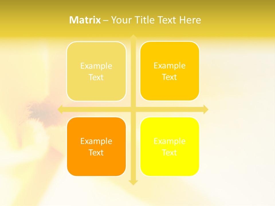 Blooming Tonga Golden PowerPoint Template