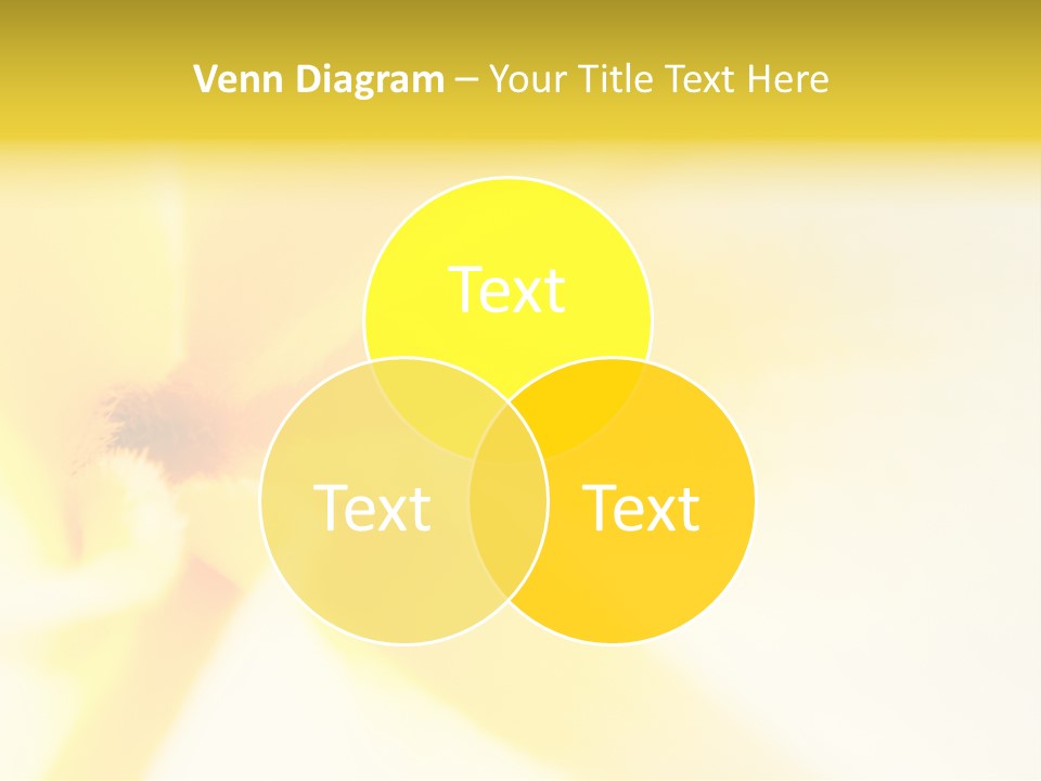 Blooming Tonga Golden PowerPoint Template