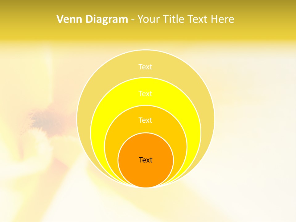 Blooming Tonga Golden PowerPoint Template