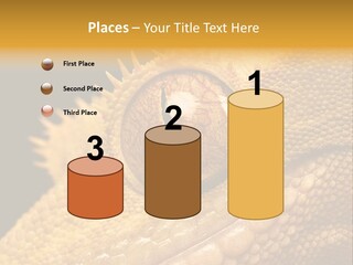 New Caledonian Crested Gecko Reptile Ciliatus PowerPoint Template