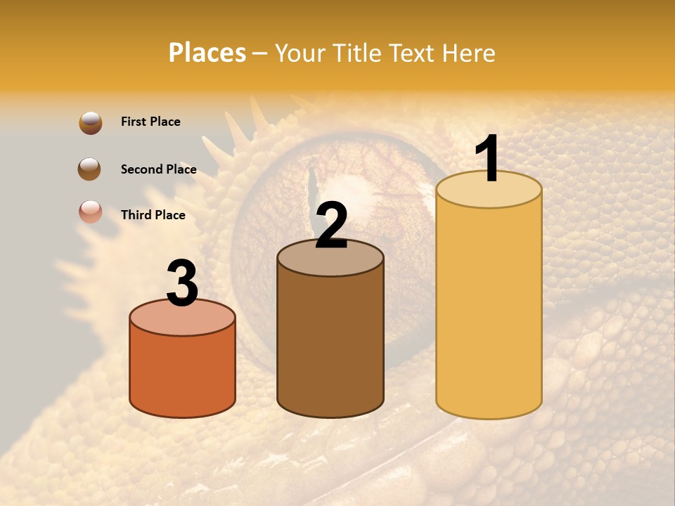 New Caledonian Crested Gecko Reptile Ciliatus PowerPoint Template