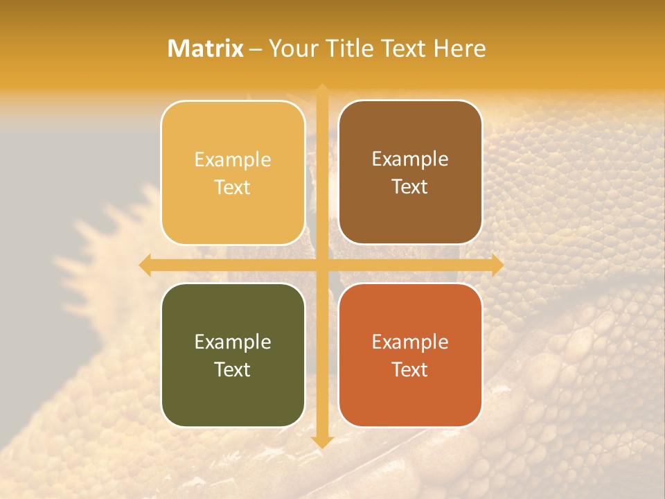 New Caledonian Crested Gecko Reptile Ciliatus PowerPoint Template