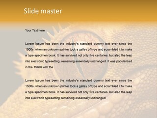 New Caledonian Crested Gecko Reptile Ciliatus PowerPoint Template