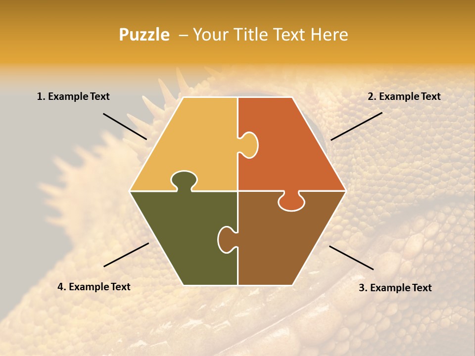 New Caledonian Crested Gecko Reptile Ciliatus PowerPoint Template